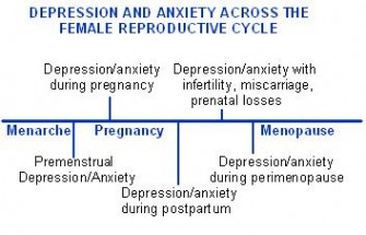 Depression and Anxiety Across the Female Reproductive Cycle – Wayne C ...